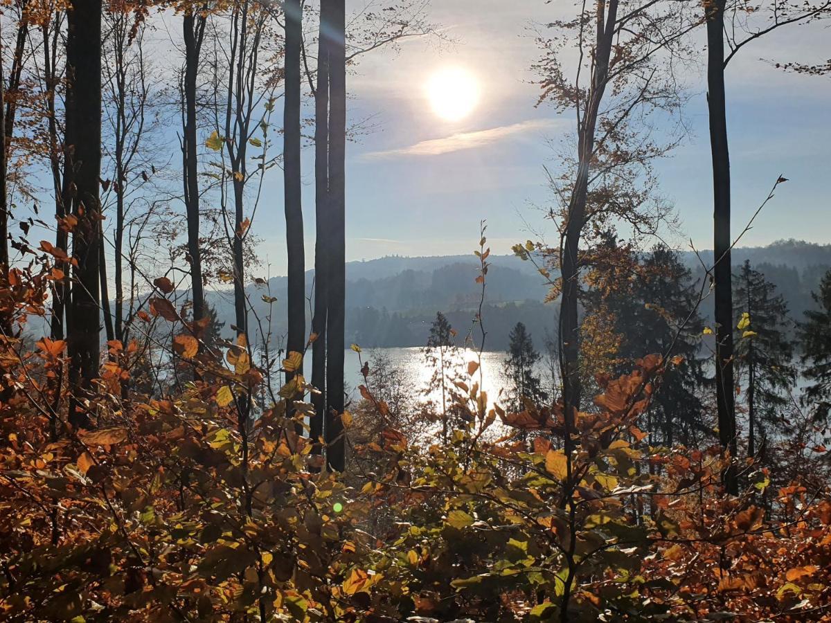 Ostrzycki Las Domki Nad Jeziorem -Balia-Sauna-Prywatny Pomost Pierszczewo Dış mekan fotoğraf