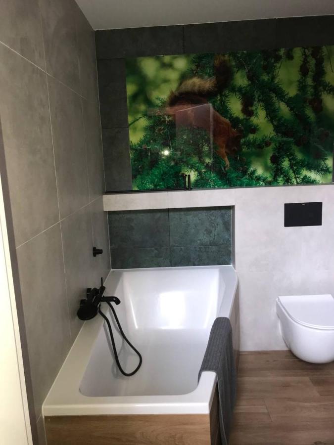 Ostrzycki Las Domki Nad Jeziorem -Balia-Sauna-Prywatny Pomost Pierszczewo Dış mekan fotoğraf
